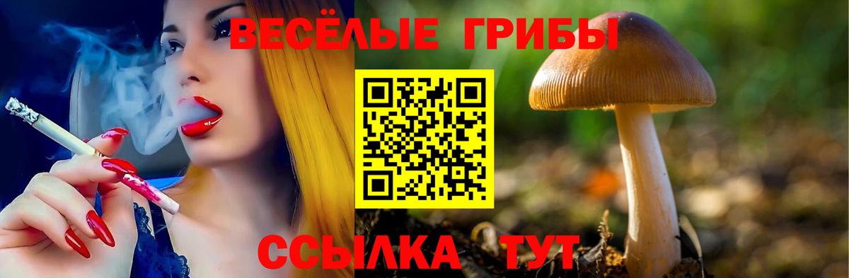 Галлюциногенные грибы прущие грибы  Вход с VPN  Дмитров 